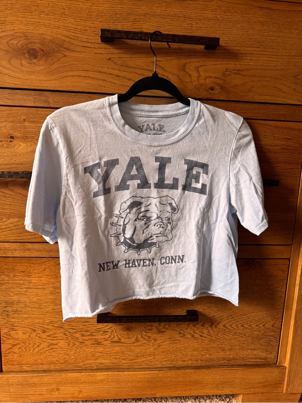 Yale Light Blue Graphic Cropped Tee